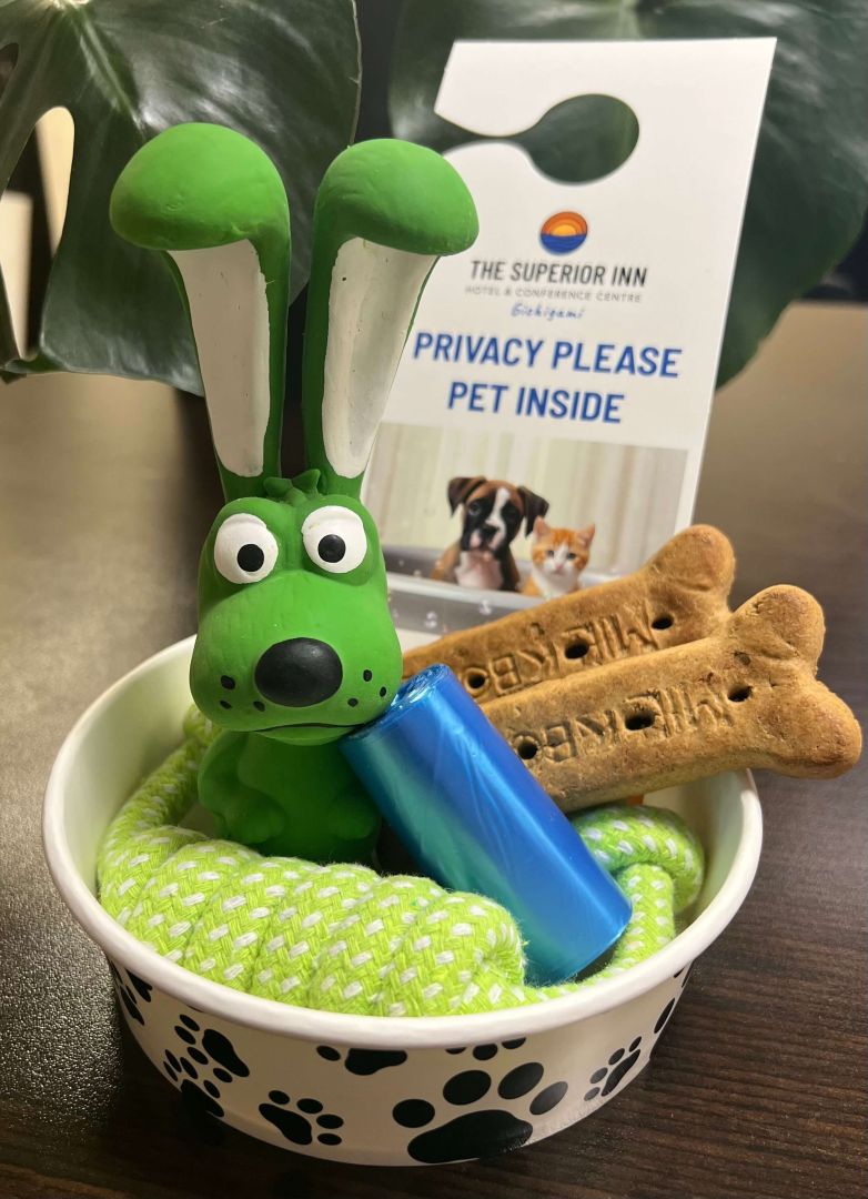 pet policy
